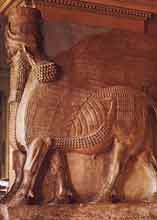 Skrzydlaty byk 
o ludzkiej twarzy z Asyrii, Luwr,Paryż